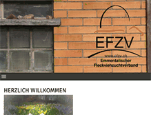 Tablet Screenshot of efzv.ch